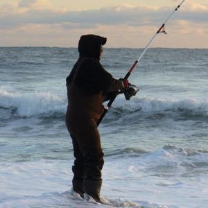 Meet your Posher, Nick